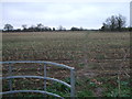 Public footpath, near Droveway