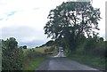 N9260 : View south-westwards along minor road linking the R147 with the Hill of Tara by Eric Jones