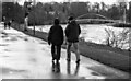 Walkers in Dock Park