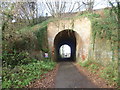 Bridge over Whitehall Road