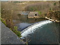 Weir and footbridge across the Afon Afan, Cwmavon