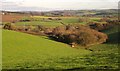 Wood and view above Waddons Farm