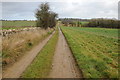 Farm track and bridleway