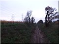 Hundred of Hoo Railway near Cliffe