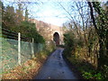 Railway bridge over Whitehall Road