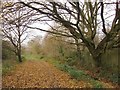 Bridleway by Kempton Reservoir