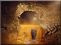ST7564 : Roman Baths - Overflow from The Sacred Spring by David Dixon