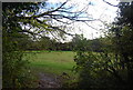 Field by the Grand Union Canal