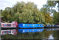 Narrowboats, Grand Union Canal - Paddington Branch