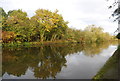 Autumn, Grand Union Canal - Paddington Branch