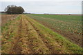 Bridleway across arable land