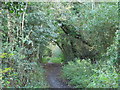 Path between Highford Lane and Causey Hill Way (2)