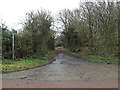 TL3362 : Thorofare Lane Byway to Battle Gate Road by Geographer