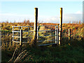 Footpath to East Dougliehill