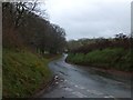 SX4885 : On Galford Down, looking along the edge of the woods by David Smith