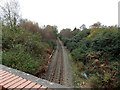 Railway line SW of Jenkins Road, Skewen