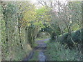 Path between Highford Lane and Causey Hill Way (5)