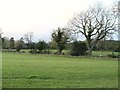 Farmland east of Highford