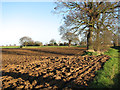 TG3806 : Ploughed field by World's End Farm by Evelyn Simak