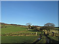 Approaching Wood Top Farm