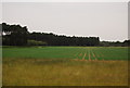 Farmland by the A11