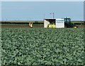 TF4550 : Harvesting the crops near Marsh Farm by Mat Fascione
