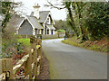 Winter road, Crawfordsburn Country Park (2)