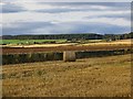 Round bale near Leyshade