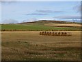 Round bales, Brighty