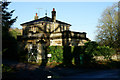 Tree Shadows on the Lodge