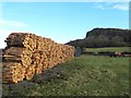 NY9175 : Stack of timber on farmland east of Gunnerton by Mike Quinn