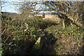 Sculcoates Lane Cemetery, Hull