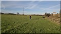 Beside the M1 near Junction 29A looking towards Longcourse Farm