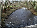 Afon Honddu upstream, Pandy