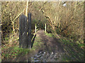 TQ5682 : Entrance to  Running Water Wood by Roger Jones