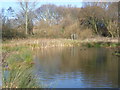 The pond in Parish Wood Park