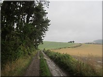 NO3822 : Farm road, Kilmany by Richard Webb