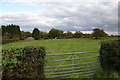 Grazing land near Calcutt