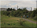 Blackberry picking by the railway