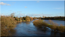 SE3867 : River Ure in flood by Trevor Littlewood