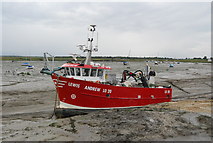 TQ8385 : Lewis Andrew, Leigh on sea by N Chadwick