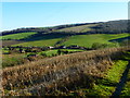 View of Upwaltham from path descending from the west