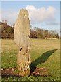 NR8297 : Nether Largie Standing Stones - outlier by Patrick Mackie