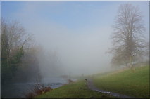 SK2168 : Mist clearing by the River Wye by Peter Barr