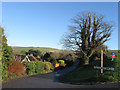 Downs View Lane, East Dean