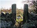 Narrow gateway near Throckley North Farm