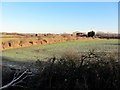 Arable field near Throckley North Farm