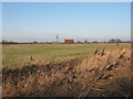 Reed filled dyke and pumping station