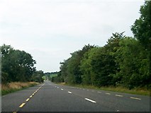 N3584 : The N55 approaching the Cavan/Longford Border by Eric Jones