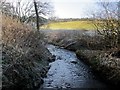 Dewley Burn south of A69